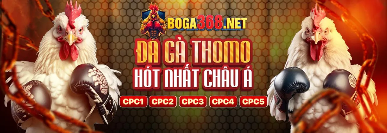 Banner khuyến mãi đá gà thomo 888