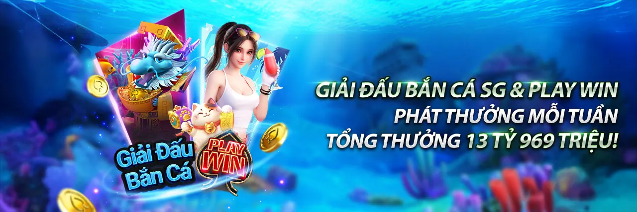 Hình ảnh Đá Gà Thomo 888 và cá cược thể thao sôi động